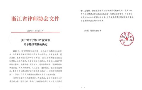 榜样领航，法治践行｜朱虹主任荣获浙江省律协通报表扬